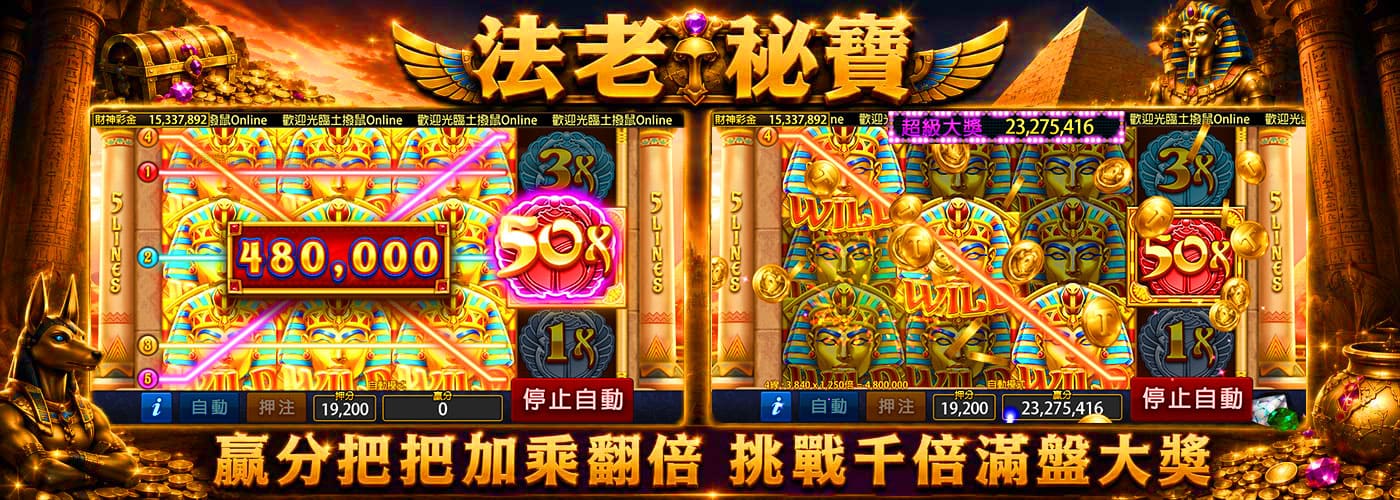 活動5